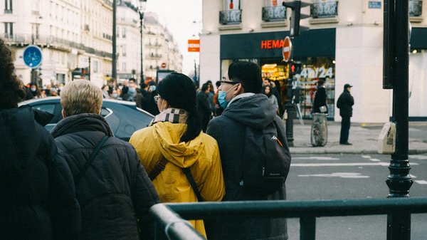 Découvrez les meilleurs pellets pour un chauffage écologique