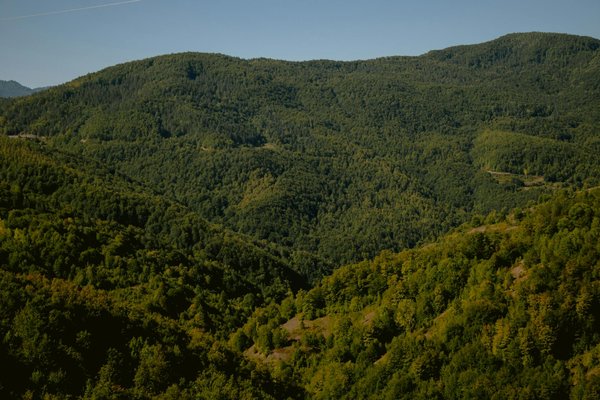 Comment le licenciement affecte la retraite