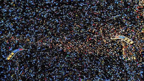 Assurance animaux : découvrez ses nombreux avantages !