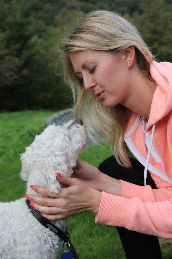 Réduire le coût de la mutuelle pour chien : 5 astuces essentielles